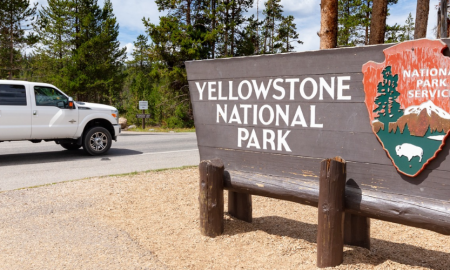 When Is the Best Time to Visit Yellowstone National Park.